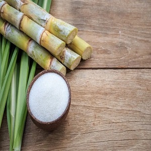 کاشت و برداشت نیشکر(sugarcane)