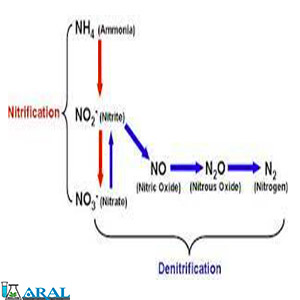 نیترات سازی و نیترات زدایی فاضلاب