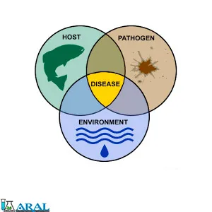عامل اصلی بیماری در استخر پرورش ماهی